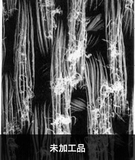 未加工品の写真